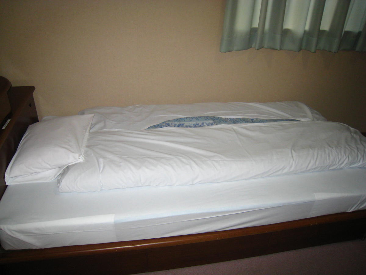 Business Hotel Ojiro 静冈 客房 照片